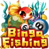 Câu Cá Bingo 1xbet morocco games